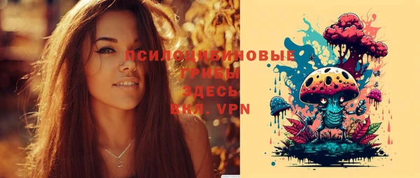 дмт Арсеньев